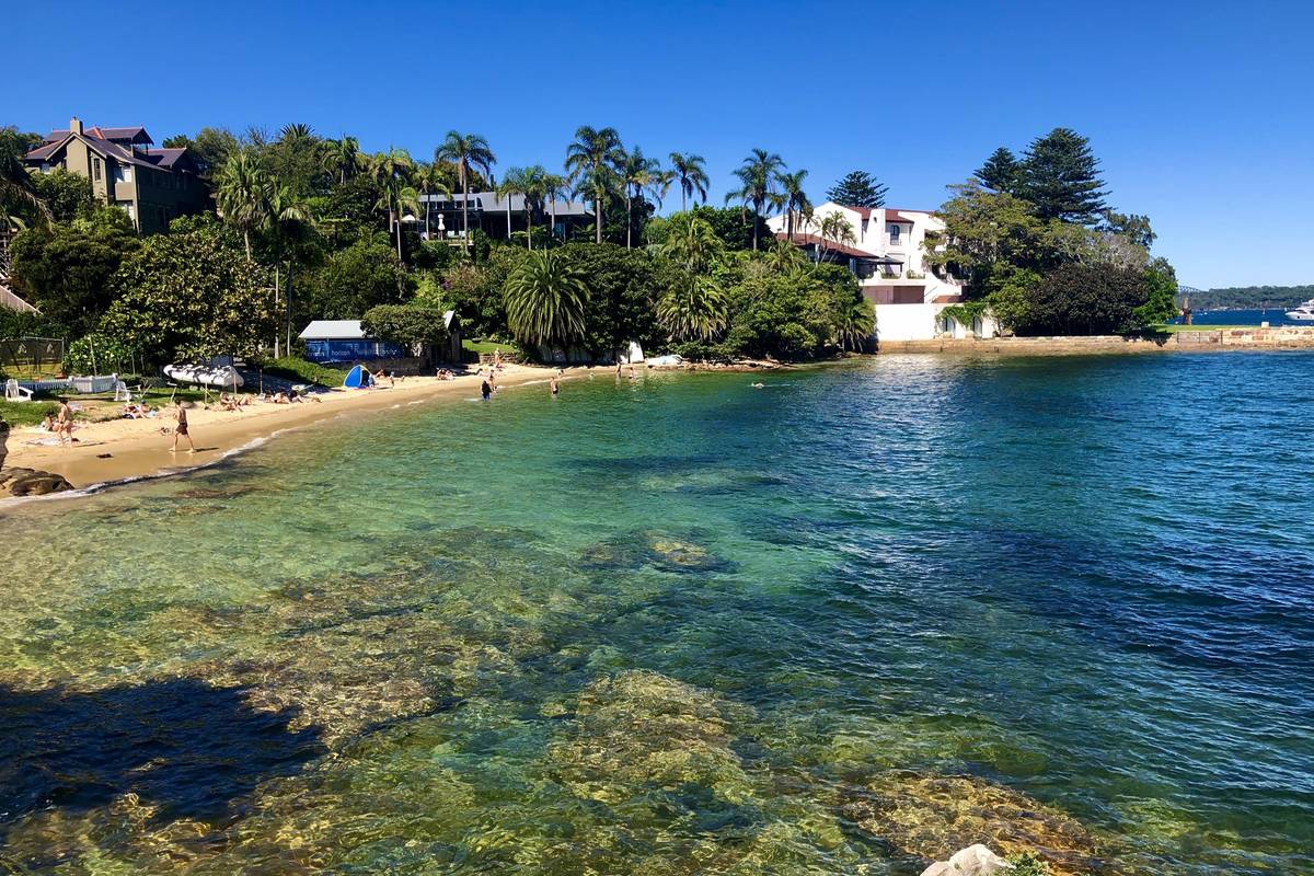A Vaucluse harbour beach with clear shallows and palms