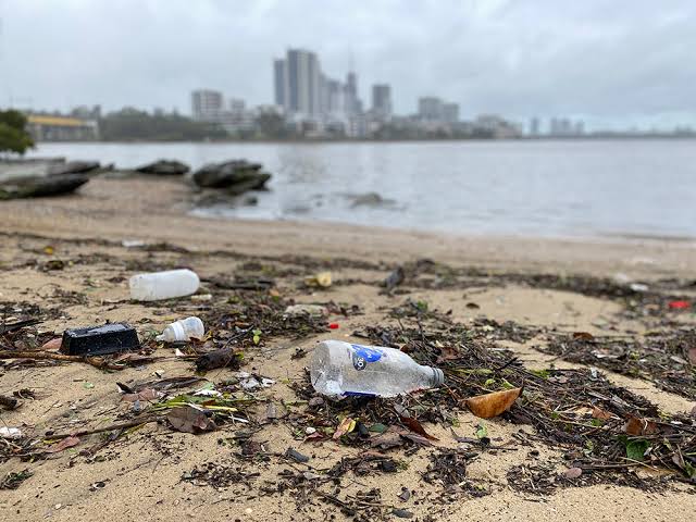 Littered Parramatta River foreshore with the city skyline behind